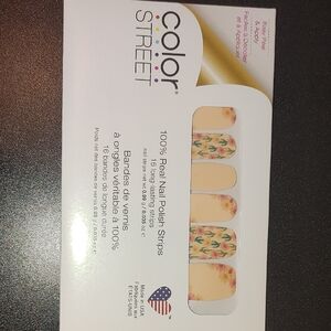 Color Street Desert Flora Nail Strips